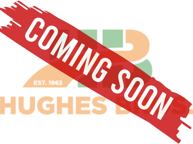 YAMAHA KODIAK 450 FWB STD